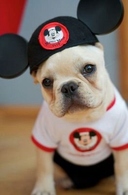 ma_aaui's profile picture. 看護学生。
猛勉強中(嘘)