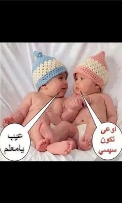 (مصرى حر )