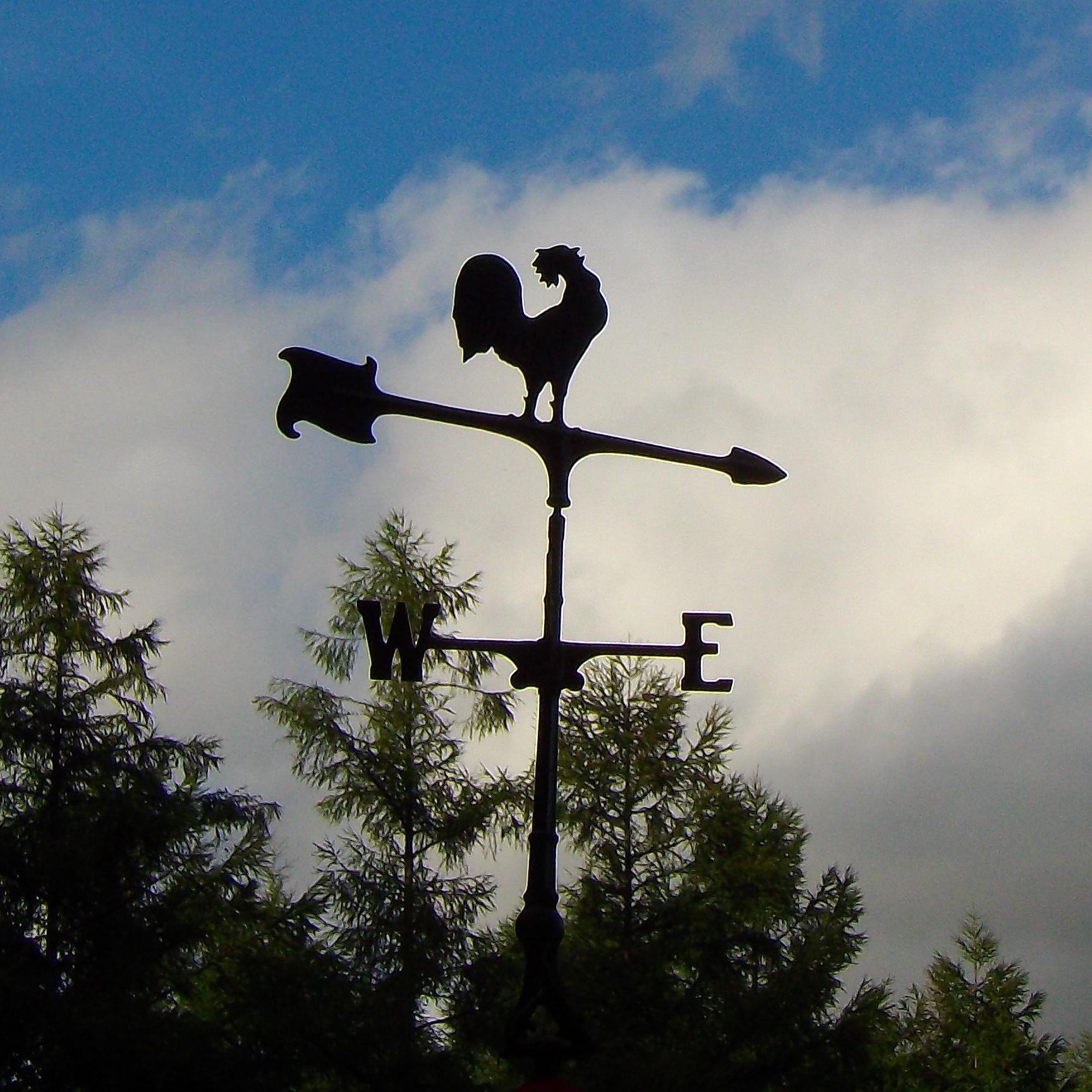 terriblevertigo's profile picture. 気になることの思考整理の場です。 出身地 : 北海道