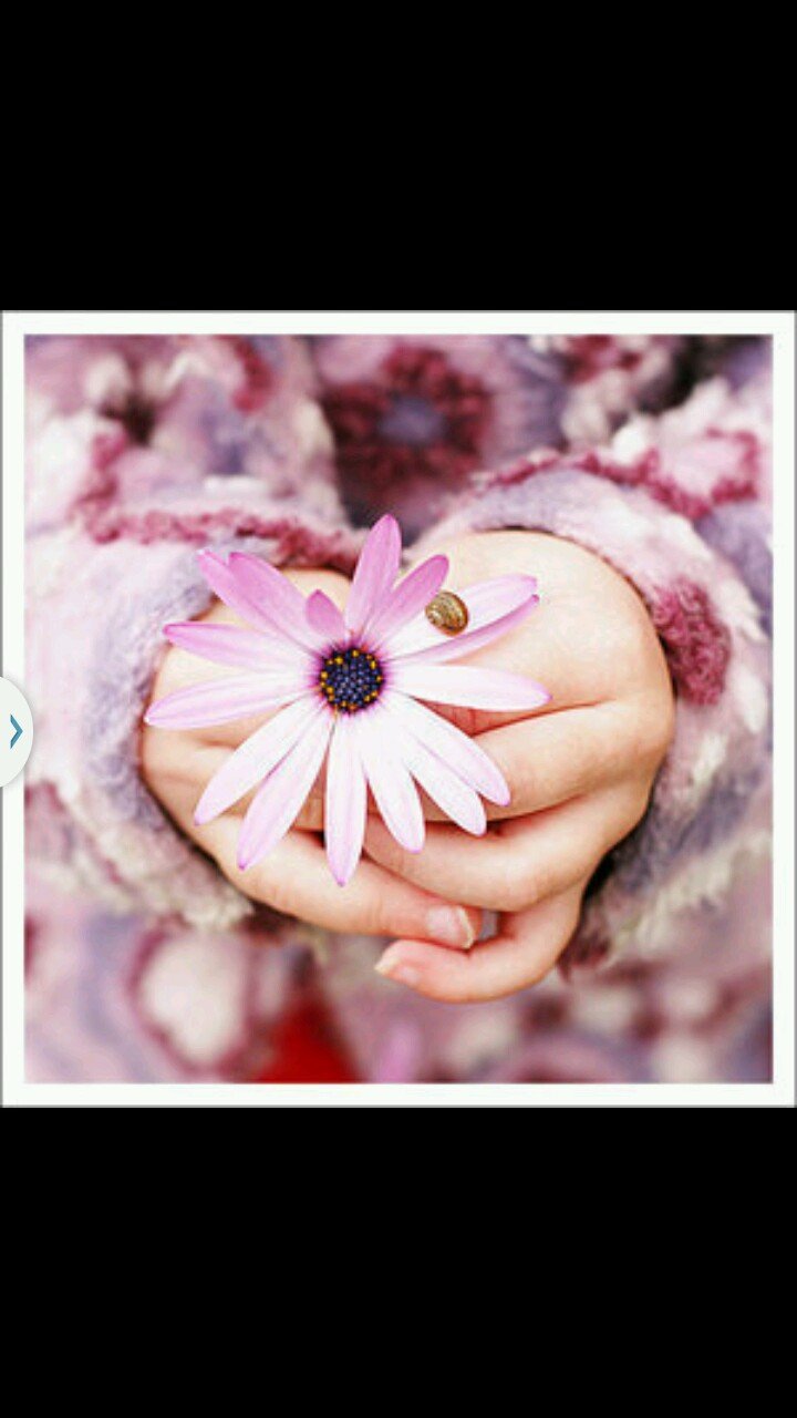 CrowChasity's profile picture. Completely Anonymous! Rant Page. Don't like my tweets, then get the fuck out.