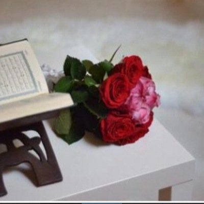 الخاص ( (مممنووووع))﷽ قُلْ هُوَ اللَّهُ أَحَدٌ (1) اللَّهُ الصَّمَدُ (2) لَمْ يَلِدْ وَلَمْ يُولَدْ (3) وَلَمْ يَكُنْ لَهُ كُفُوًا أَحَدٌ (4)