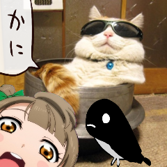 schranz_lily's profile picture. 日本で数少ないSchranzのDJやってたり日本で数少ないDDR世界大会「EXTRA EXCLUSIVE」の主催やってたり。ビールのヴァイツェン好きなんで奢ってください。 DDRとあいまいみーで生きてる つまりうっちーと真礼たそ。 DDR&ボンガ「FIX-LILY」