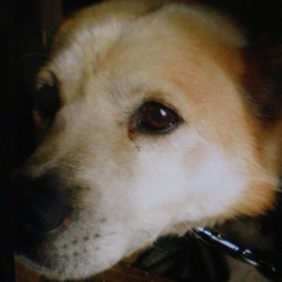 チリ リチ クリミナルマインド面白い けど 死にオチ 被害者も犯人も死んじゃう系 多すぎないか 結局それは事件解決といえるのか わざわざ飛行機乗ってるのに チリ リチ クリミナルマインド面白い けど 死にオチ 被害者も犯人も死んじゃう系 多すぎないか 結局それは事件解決といえるのか わざわざ飛行機乗ってるのに
