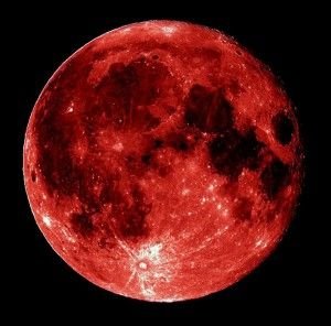 神月愛理よ。以後、お見知り置きを。依頼はDMで＠～の形式で教えてちょうだい。