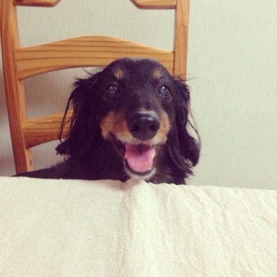 mmmirrreiii's profile picture. 