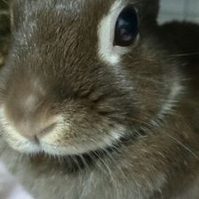 tatukuku1's profile image