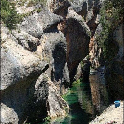 Inquieto por Naturaleza. Despierto.