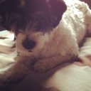 Julia Miller - @jules_miller_ - Twitter