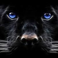 Paul the Panther (@indiancreekmid) 's Twitter Profile