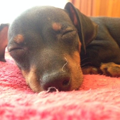 yurxxx_87's profile picture. Sunday slow burns and loud playlists 🌞🎶 don't follow me if you can't handle me in dms 😳