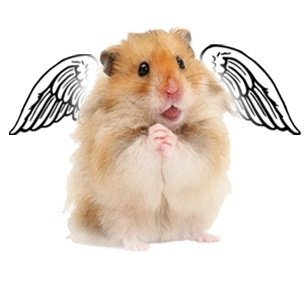 Schliesst euch dem allmächtigen Hamsterismus an.