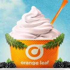 Come visit Orange Leaf in the new and improved Shelter Cove Plaza! 16 Freshly mixed frozen yogurt flavors. Over 25 sweet and fruity topping to finish strong!