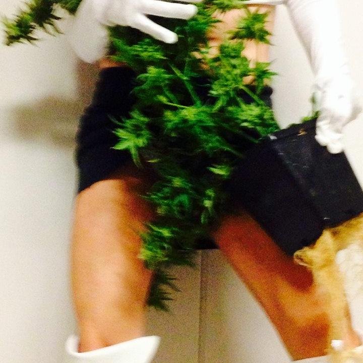 1crystalflowers's profile picture. mmj compassionate care giver