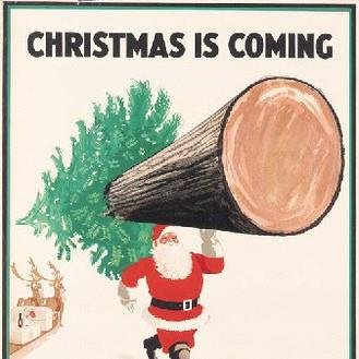 One of the Lothian's largest Christmas tree retailers where quality of product and customer satisfaction is  our aim.