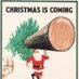 Dalmeny Xmas Trees (@manse26) Twitter profile photo