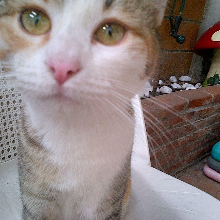 mgjc56's profile picture. 