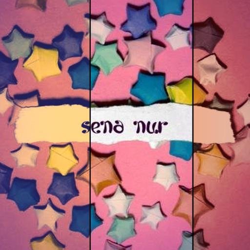 SenosAvc's profile picture. 