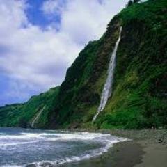 CaedGhm's profile picture. 