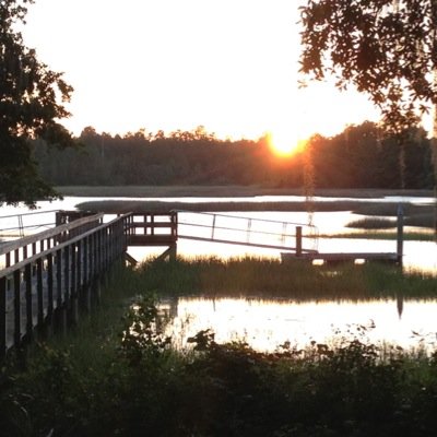 DanielIslandVol's profile picture. 