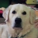 Harriet Malone - @hmmmalone - Twitter