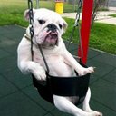 Janice Tobin - @tobin_janice - Twitter