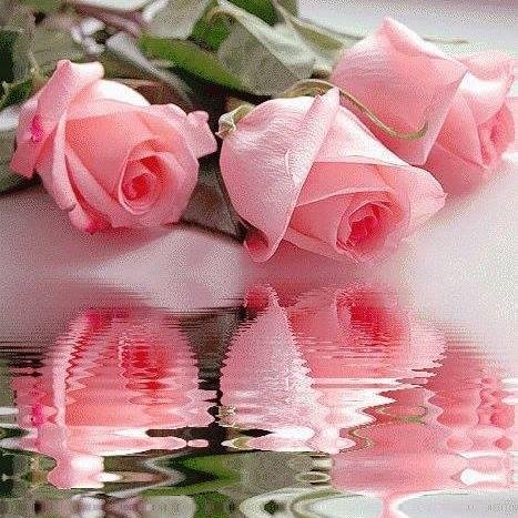 طَالمَا أننَا عَلىّ قَيد الحَياةّ ؛ فَالدَينَا الكَثِير مَن الفُرص لنَتغِير

وَ نَجعَل القَادم أجمَل { بَأذنْ الله }