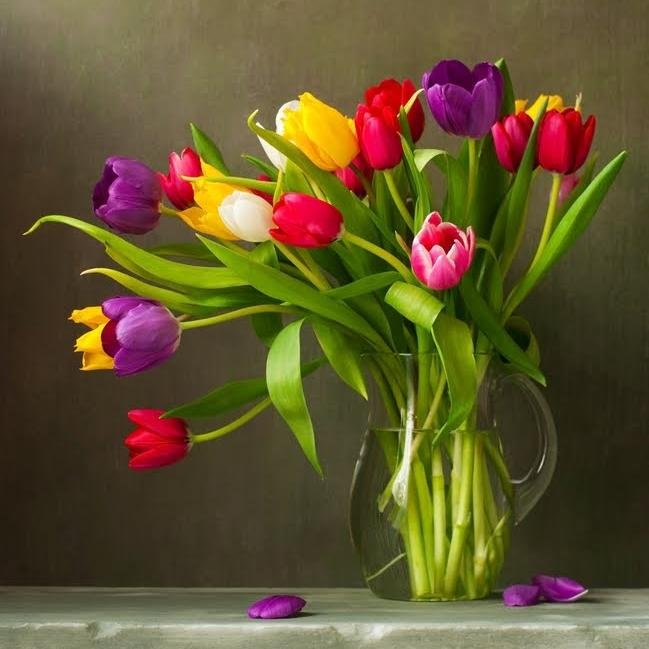 Florerias