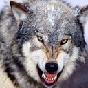 ray mathias - @RayMathias757 - Twitter