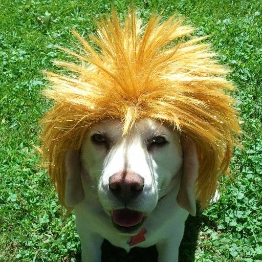 jfaya522's profile picture. 