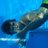 yusuf1907melek's profile image