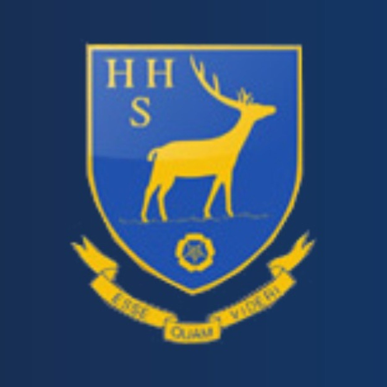 The Hemel Hempstead School PE Faculty. We use this account to share information & celebrate achievement. You can also check us out on Instagram @hhspe.