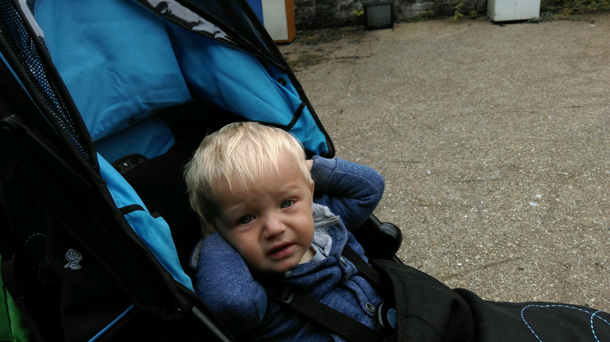 kalshellie2013's profile picture. never say goodbye because goodbye means forgetting xxxxxx