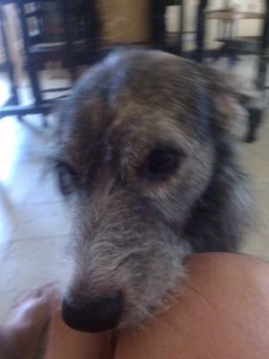 soy una persona feliz con ganas de cumplir los sueños y conquistar mis metas