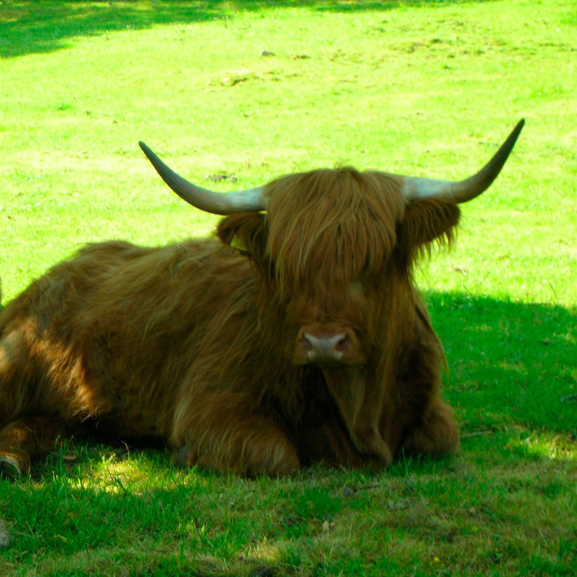 gotonygo1's profile picture. 