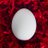 momowowo's profile image