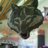 manionclass's profile image