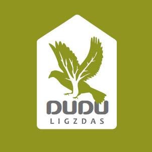 duduligzdas Profile Picture