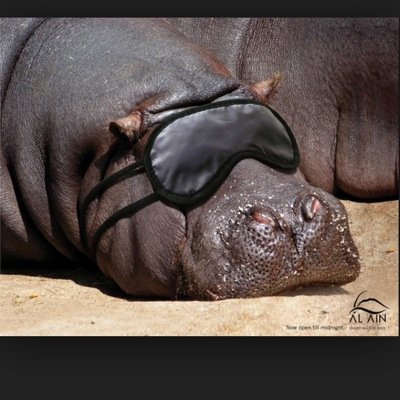 HardwickHippos's profile picture. Hardwick fc Sunday team