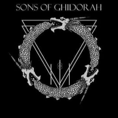 Heavy retro stoner rock from NY. Carl plays guitars, Mike plays. drums, Mark yells and Chris plays everything else, bass and keys.