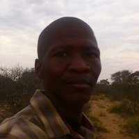 Tshepo (@tgabaikhe) 's Twitter Profile