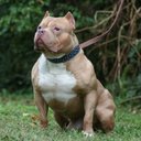 Terrell Robinson - @05d04d235cac44b - Twitter