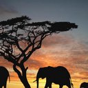 Rob Markham - @MarkhamRob - Twitter