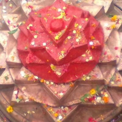 jitendr48814361's profile picture. 