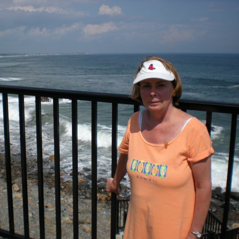 Elementary School Library Teacher