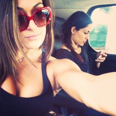 i live for fearless nikki and brie mode, what about you?