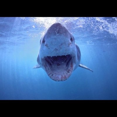 alexesk83's profile picture. 