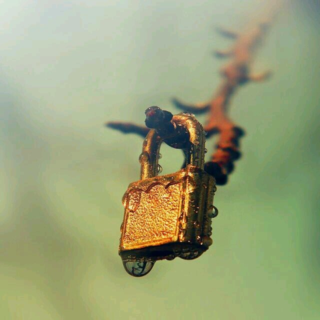‏‏‏‏‏ لََُآشّـُُــيُِّء يُِّـڛِــحً ـًـقٌَُ آلََُـڏِ کْــر …