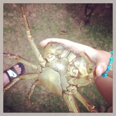 Roberto_a11's profile picture. 