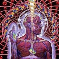 stumpy555's profile picture. A tattooed, Heavy Metal lovin` kinda fella. Music and family are my passions. Always up for a chat and laugh with a carefree, open minded attitude.