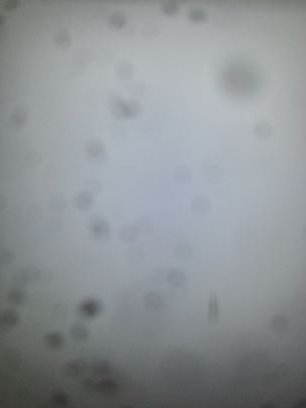 metaform42500's profile picture. 